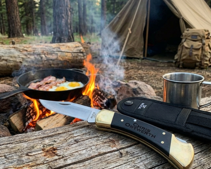 Personalized Buck 110 Folding Hunter Knife 420HC Steel Clip Point Ebony Handle Brass Bolsters With Black Leather Sheath For Camping Hunting And Eagle Scouts